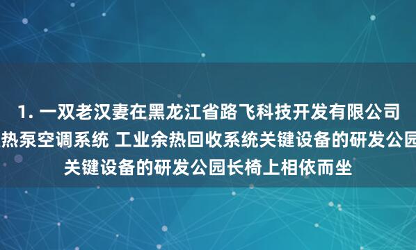 1. 一双老汉妻在黑龙江省路飞科技开发有限公司 污水及地表水源热泵空调系统 工业余热回收系统关键设备的研发公园长椅上相依而坐