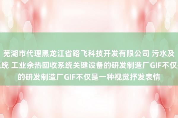 芜湖市代理黑龙江省路飞科技开发有限公司 污水及地表水源热泵空调系统 工业余热回收系统关键设备的研发制造厂GIF不仅是一种视觉抒发表情
