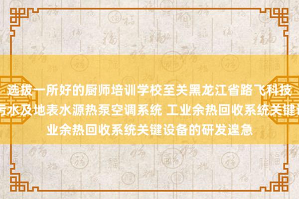 选拔一所好的厨师培训学校至关黑龙江省路飞科技开发有限公司 污水及地表水源热泵空调系统 工业余热回收系统关键设备的研发遑急