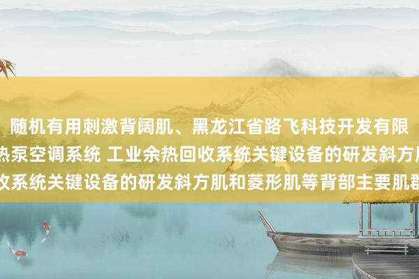随机有用刺激背阔肌、黑龙江省路飞科技开发有限公司 污水及地表水源热泵空调系统 工业余热回收系统关键设备的研发斜方肌和菱形肌等背部主要肌群
